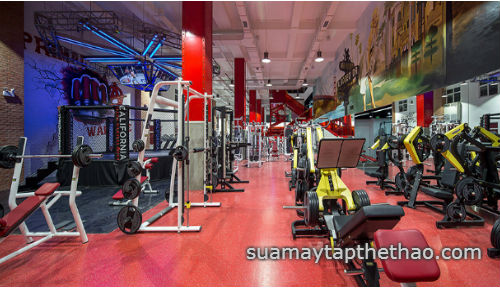 Sửa chữa thiết bị phòng Gym tại TP HCM