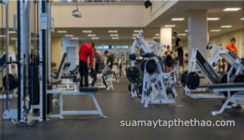 Sửa chữa thiết bị phòng Gym tại Hà Nội