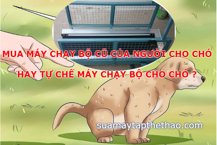 Mua máy chạy bộ cũ của người cho chó hay từ làm máy chạy