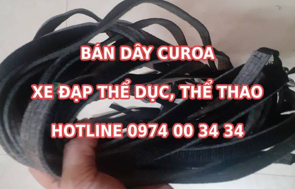 Dây curoa xe đạp thể dục